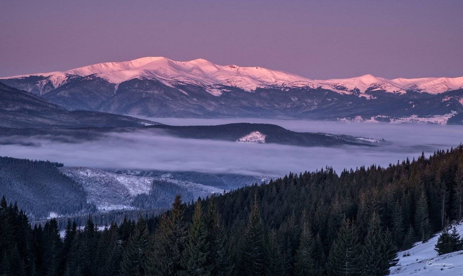 , Леонид Морозов