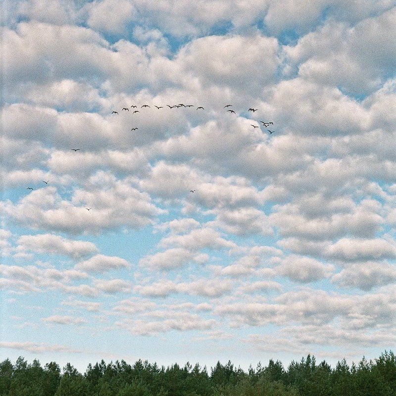 26 фото превью