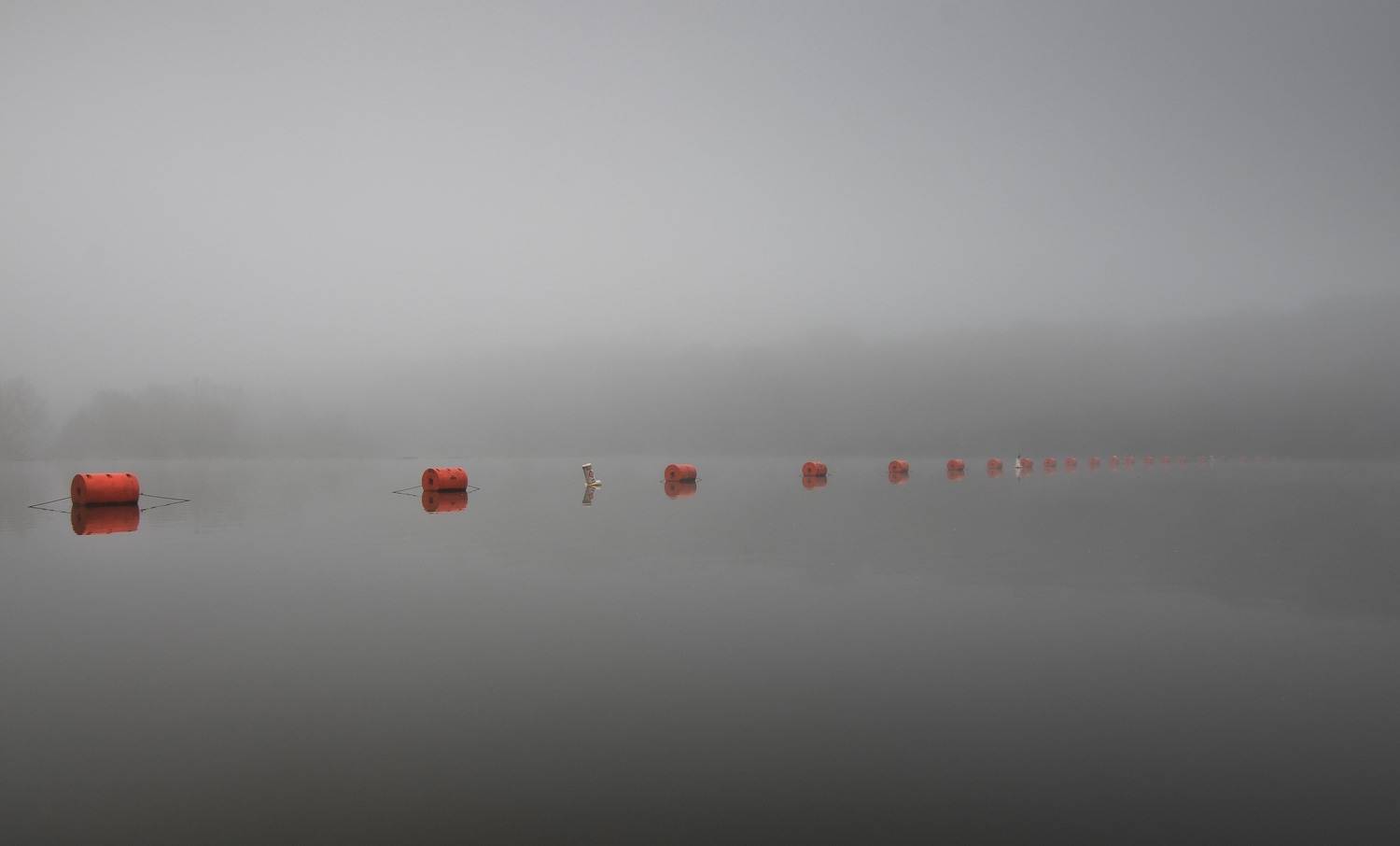 , Андрей Степанов