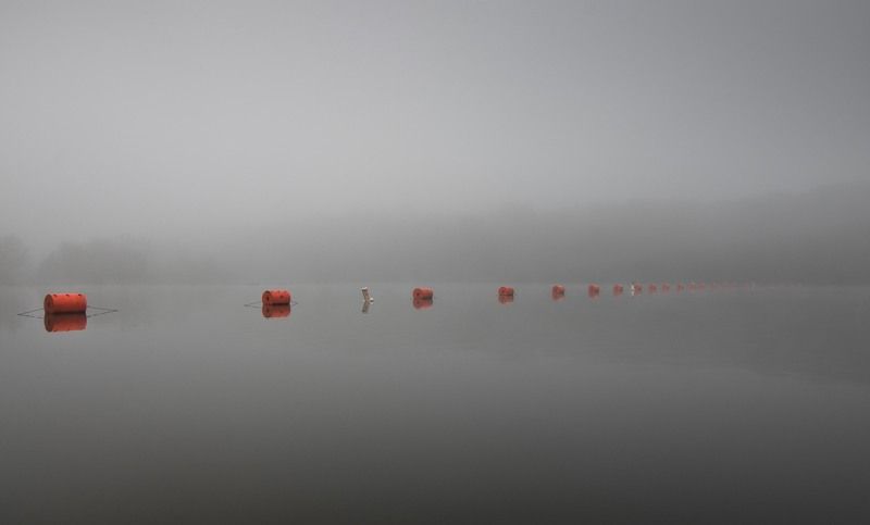 Красная нить фото превью