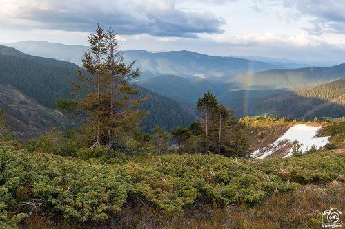 Карпаты, весна, май 2016