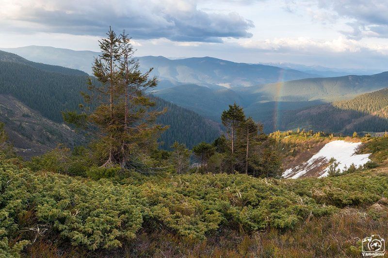 украина, карпаты, свидовец, горы, радуга, весна, закат, панорама Карпаты, весна, май 2016 фото превью