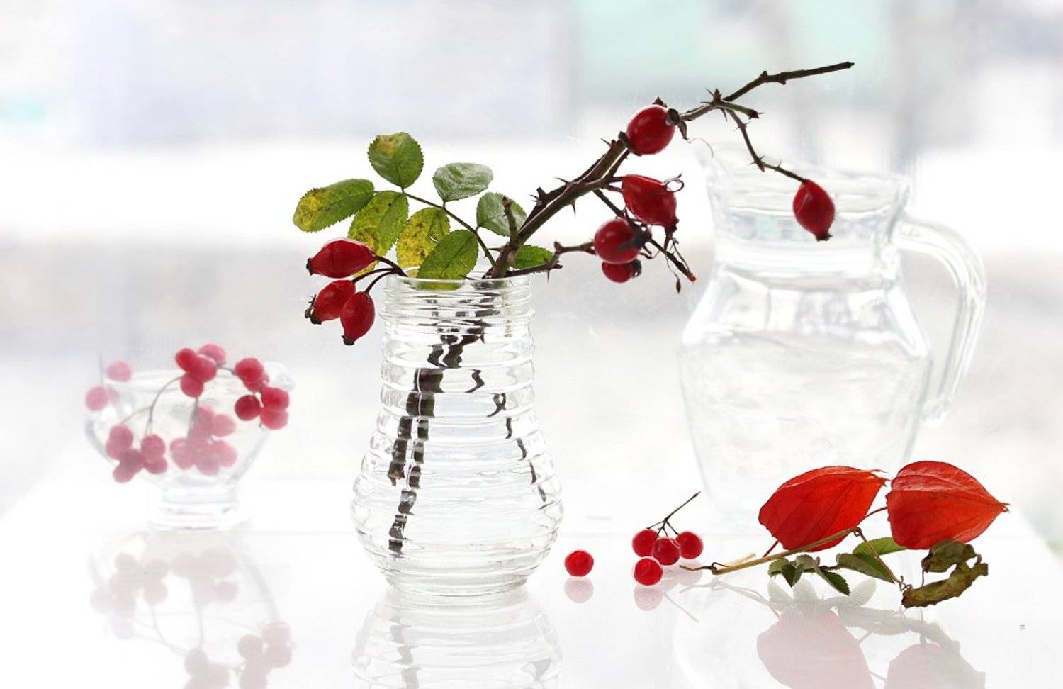 натюрморт, шиповник, физалис, ягоды, стекло, Шруб (Беляева) Татьяна