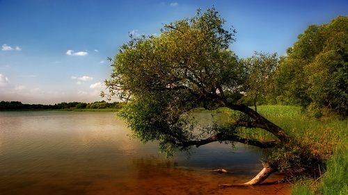 Мечта о воде в жаркий день.