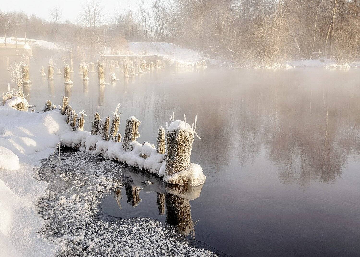 , Анатолий Зверев