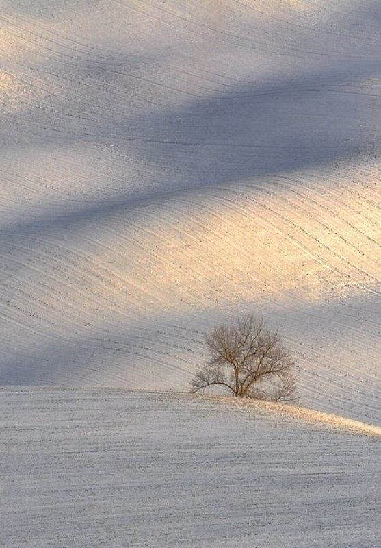 Moravian Tuscany фото превью