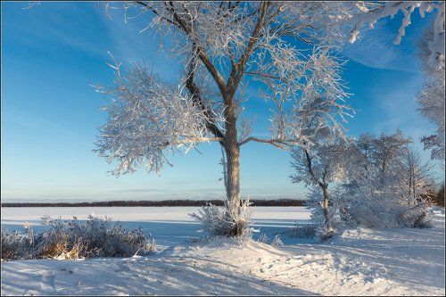 Морозное серебро
