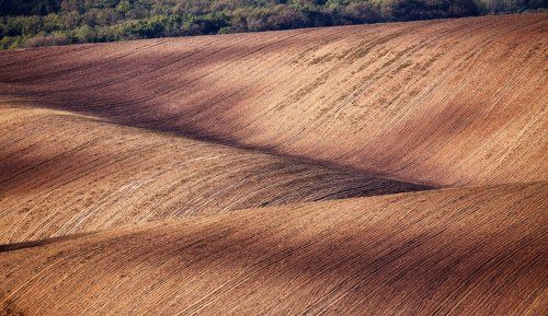 Моравские абстракции