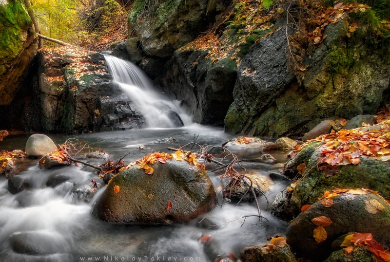 autumn, river, park, Rhodope, Balkan, Bulgaria, Landscape, Nature, October, Travel, Autumn river фото превью