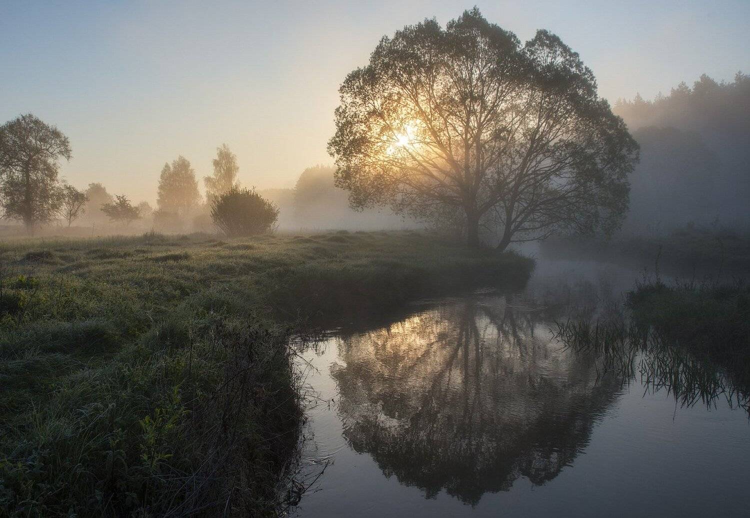 , Сергей Добровольский
