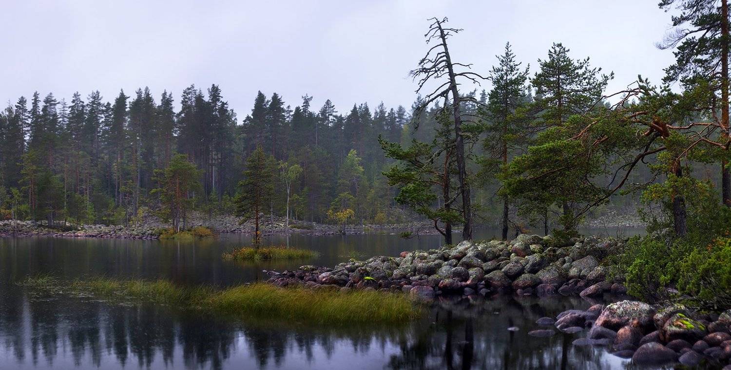 карелия, Виктор