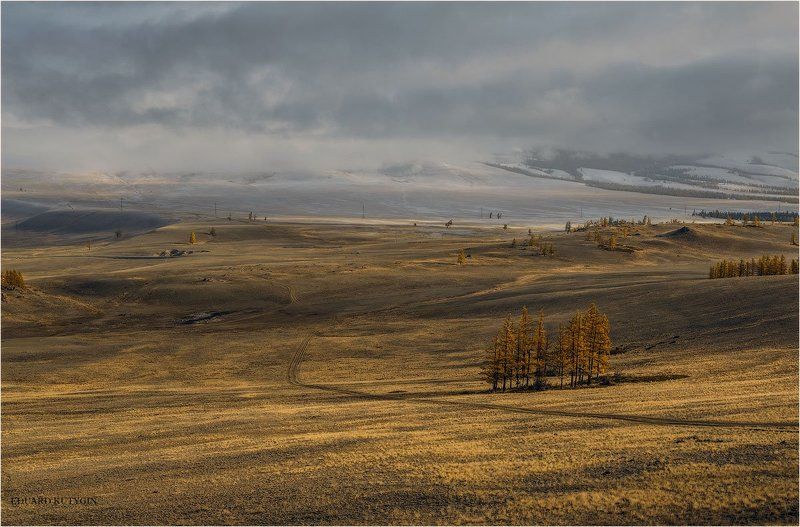 Стылое утро фото превью