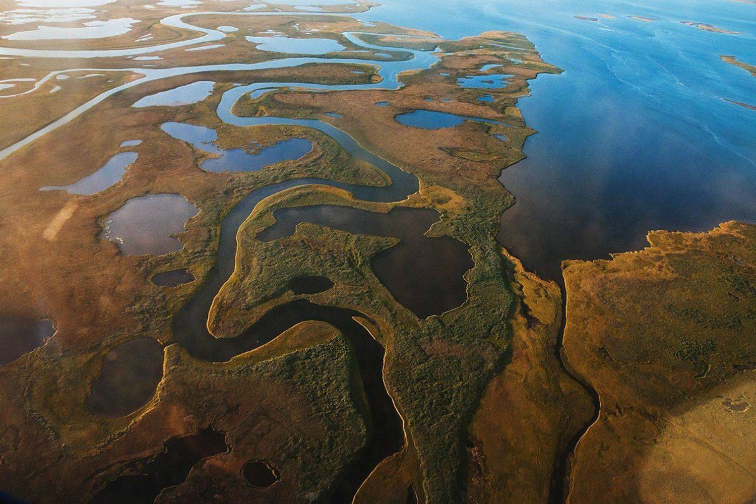 , Марина Сивакова