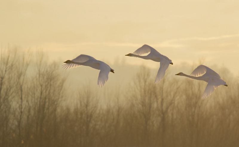 Закат фото превью