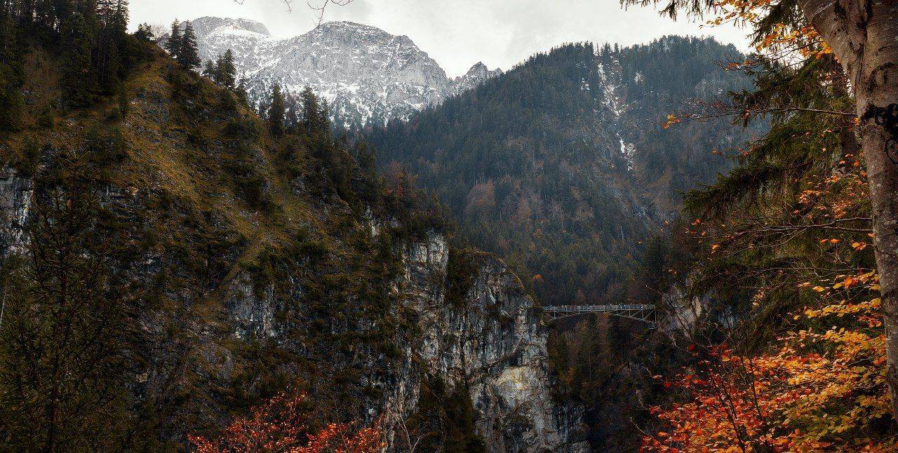 , Торопов Роман