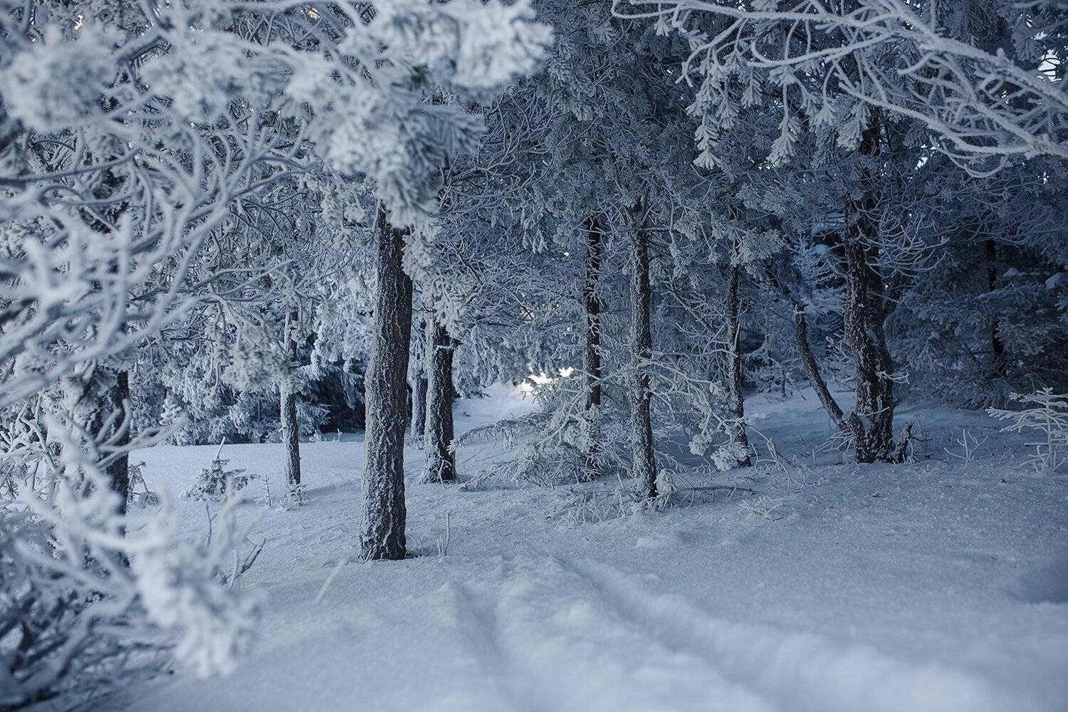 , Евгений Толкачёв