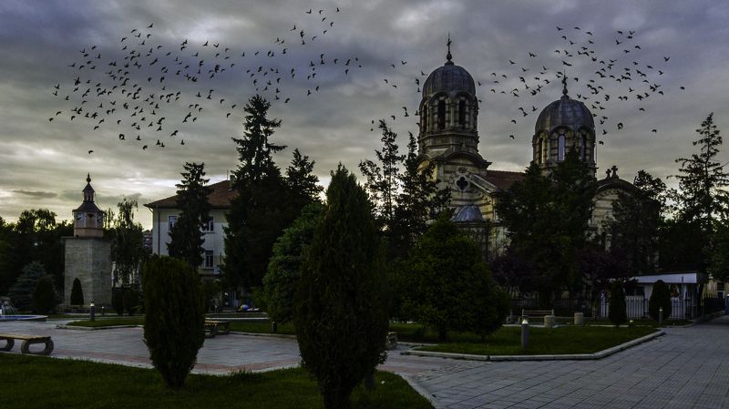 ceclii, lgg4  фото превью