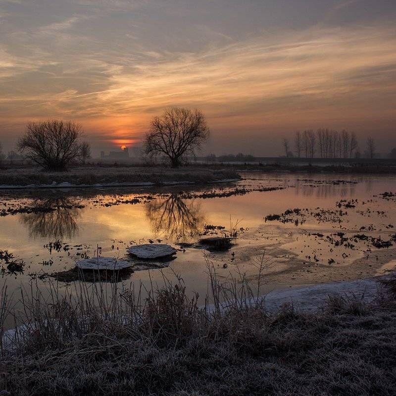 , Pawel Plucinski