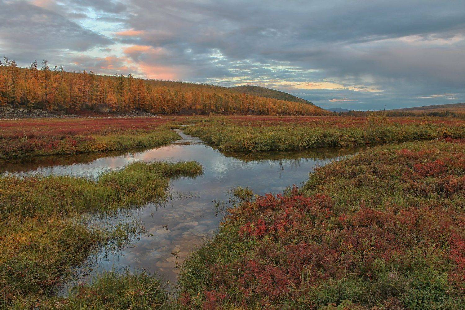 якутия, нерюнгри, осень, самокит, река_самокит, Евгения Левина