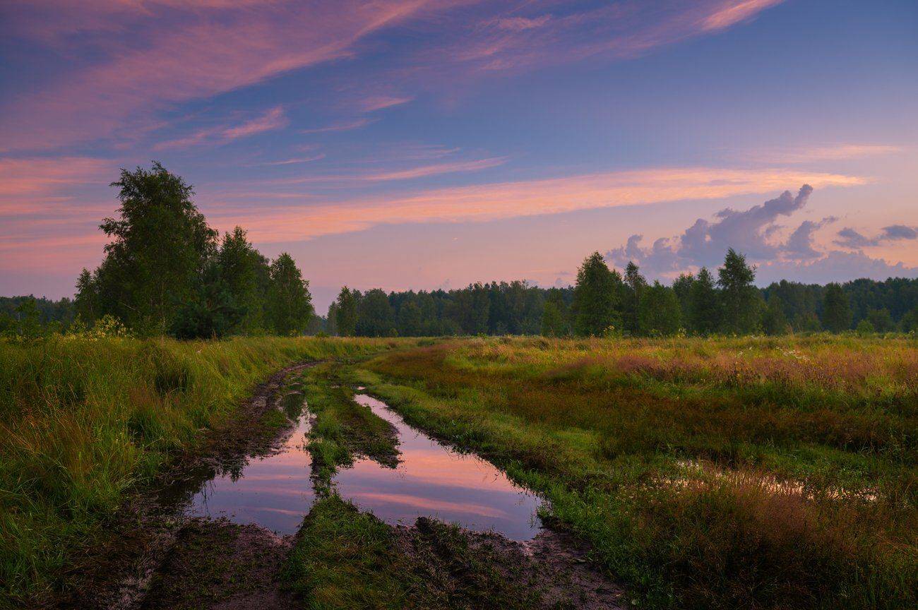 лето, рассвет, луг, лужа, Галанзовская Оксана