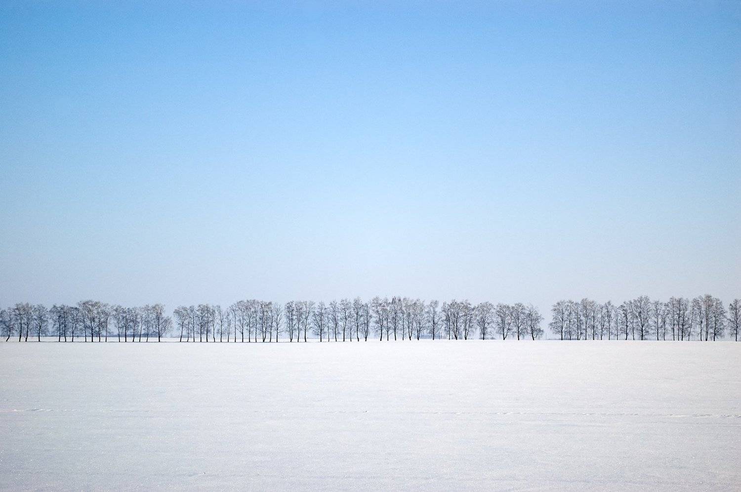 , Медведев Александр