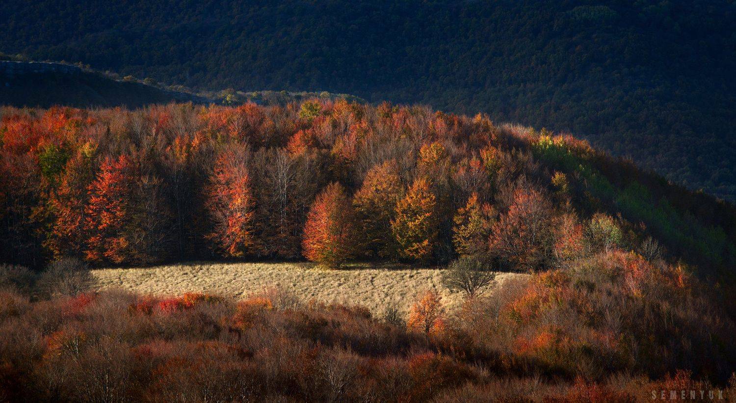 Крым, горы, лес, осень, пейзаж, Ай-Петри, Семенюк Василий