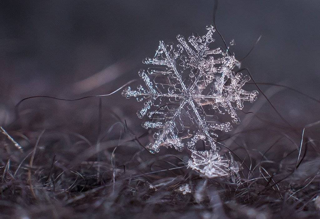 , Павел Сагайдак