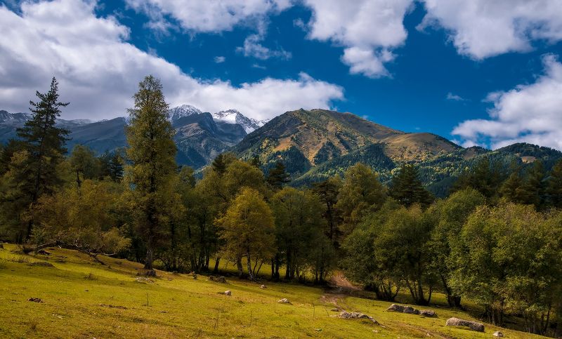 Архызские полянки фото превью