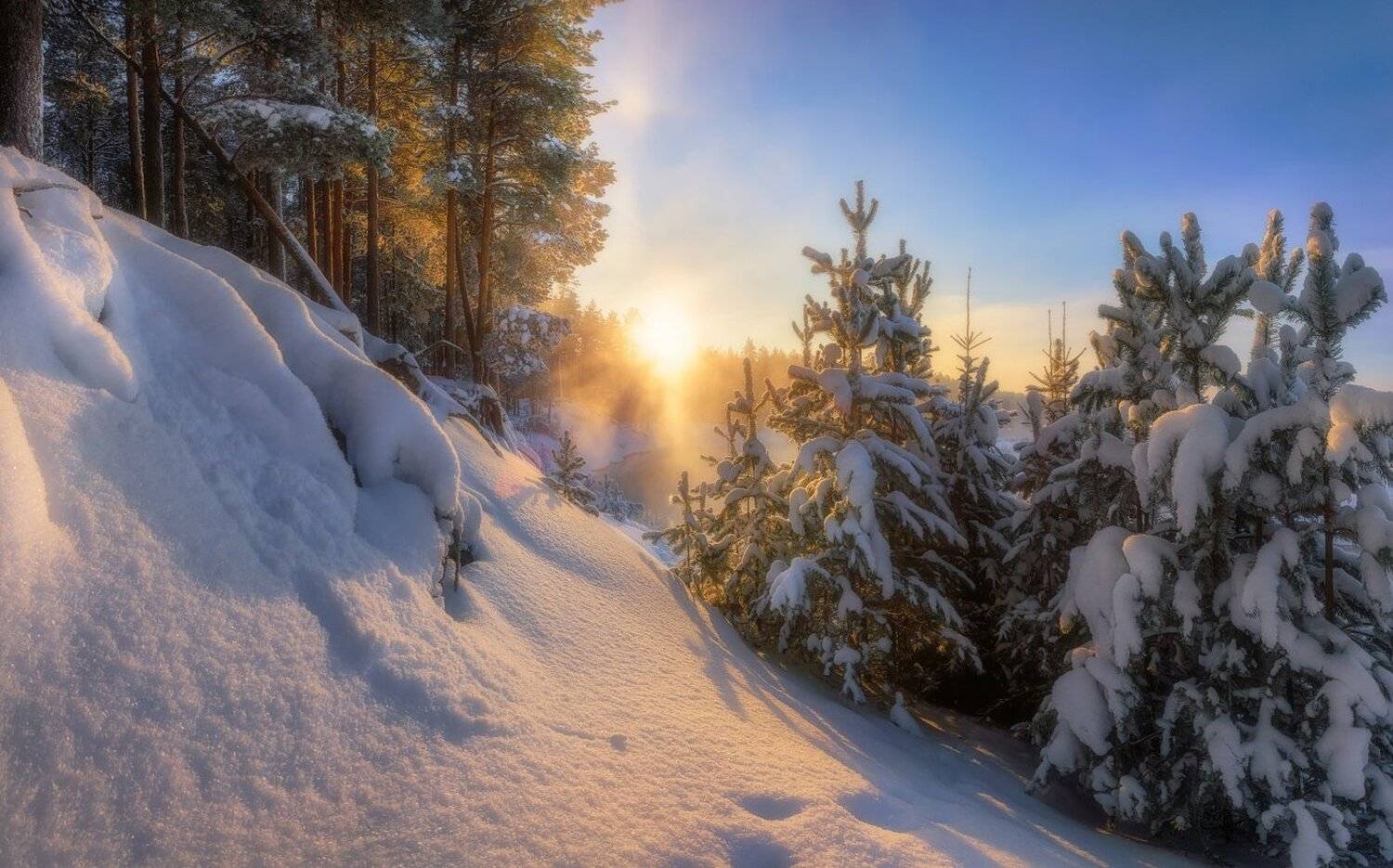 , Устюжанин Михаил