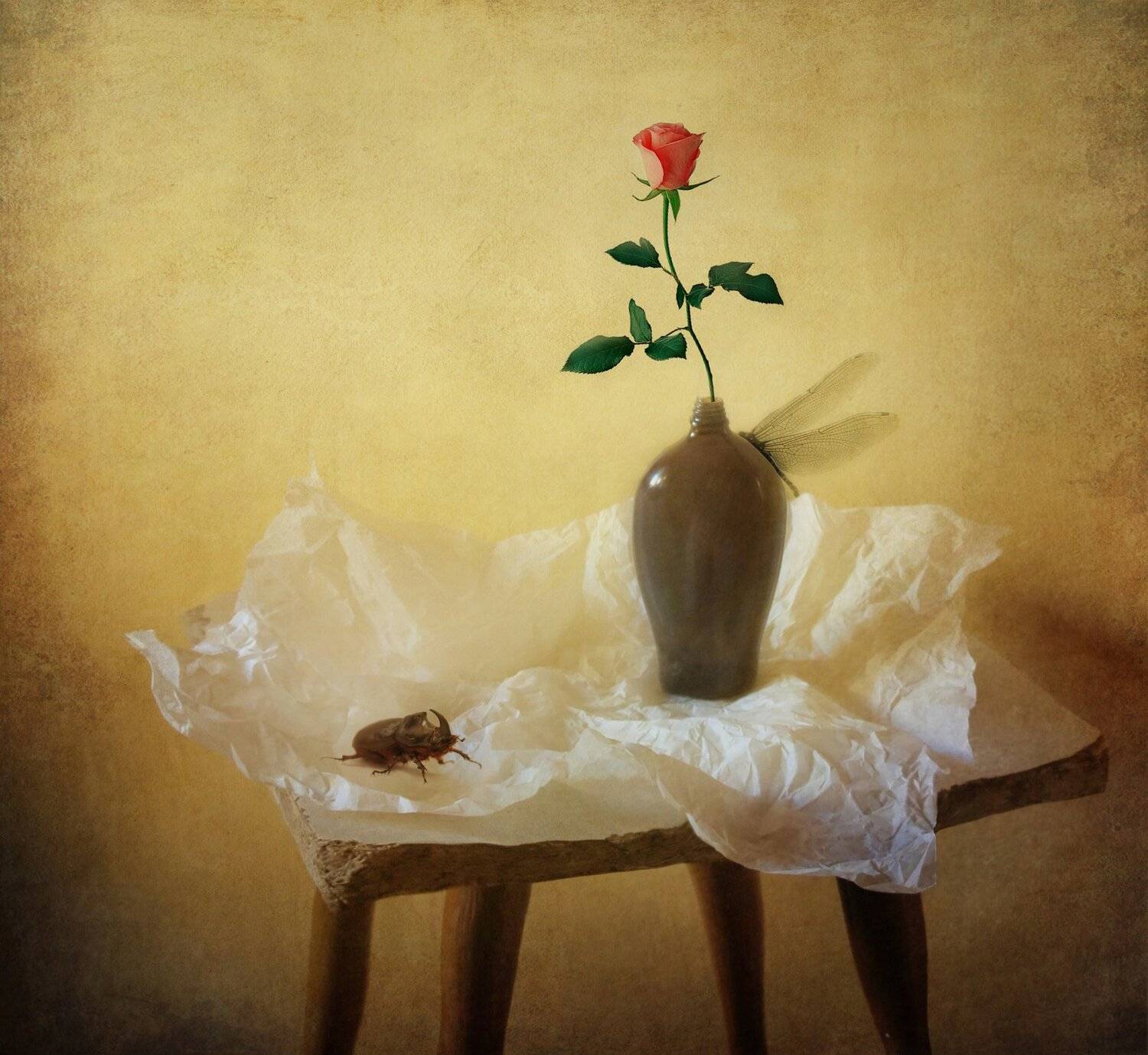 стрекоза, крылья, жук носорог, насекомое, природа, цветок, роза, ваза, бумага, табурет, натюрморт, арт, Елена Лысенко