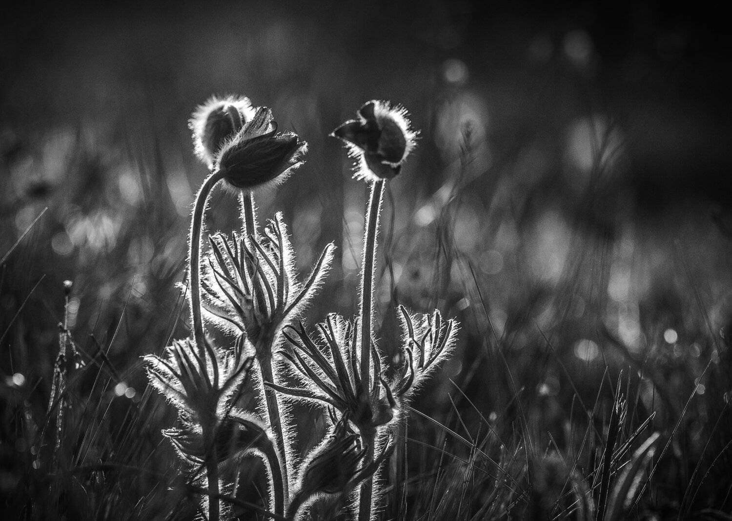 , Татьяна Аверина