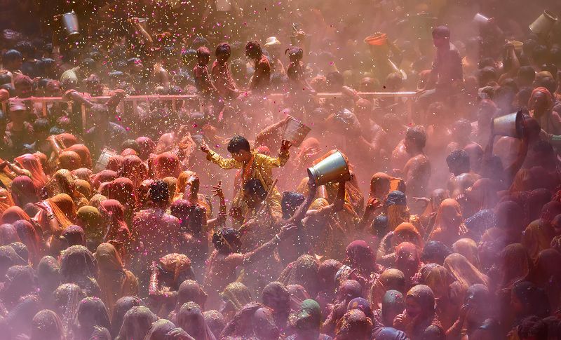festival фото превью