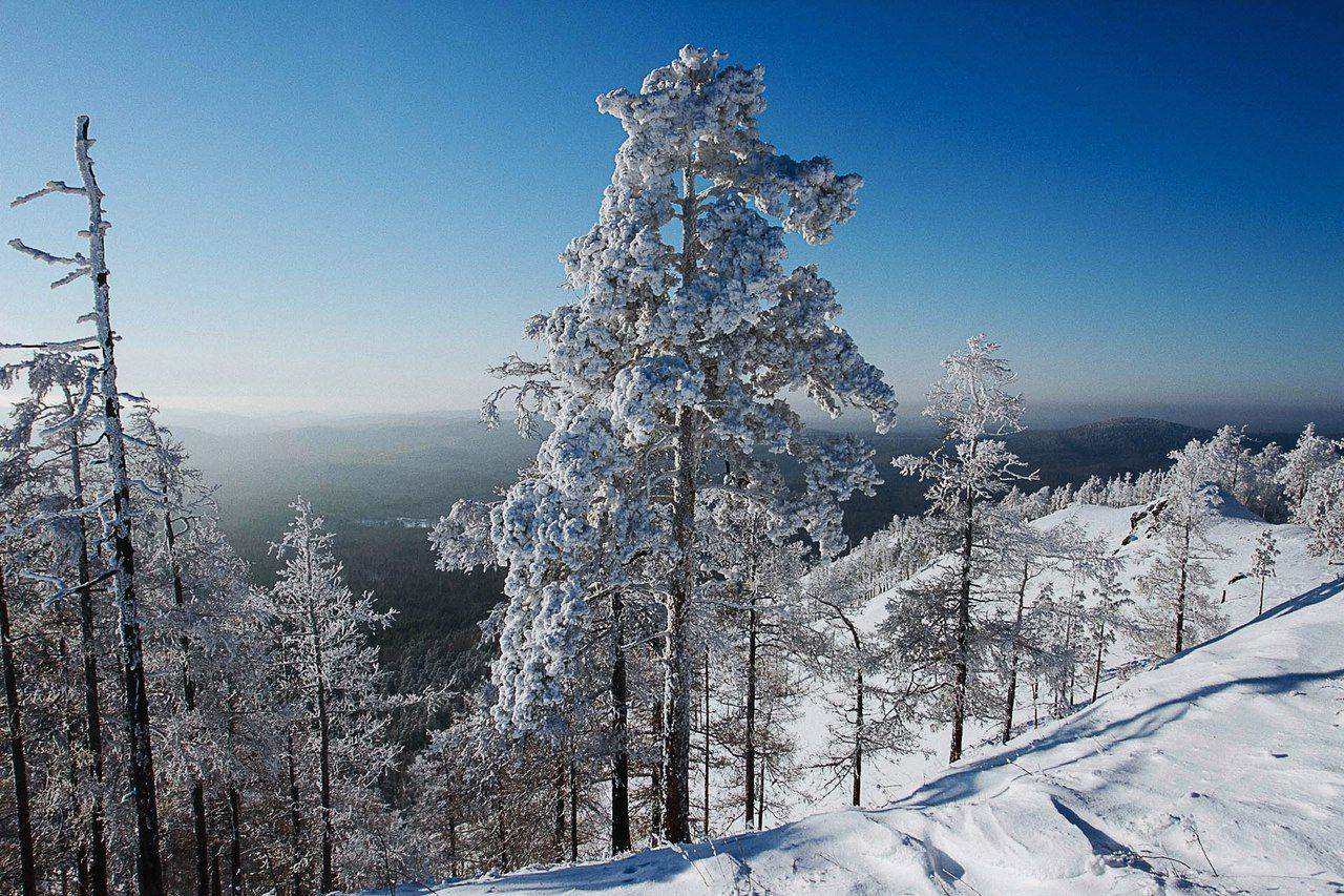 , Мехренин Кирилл