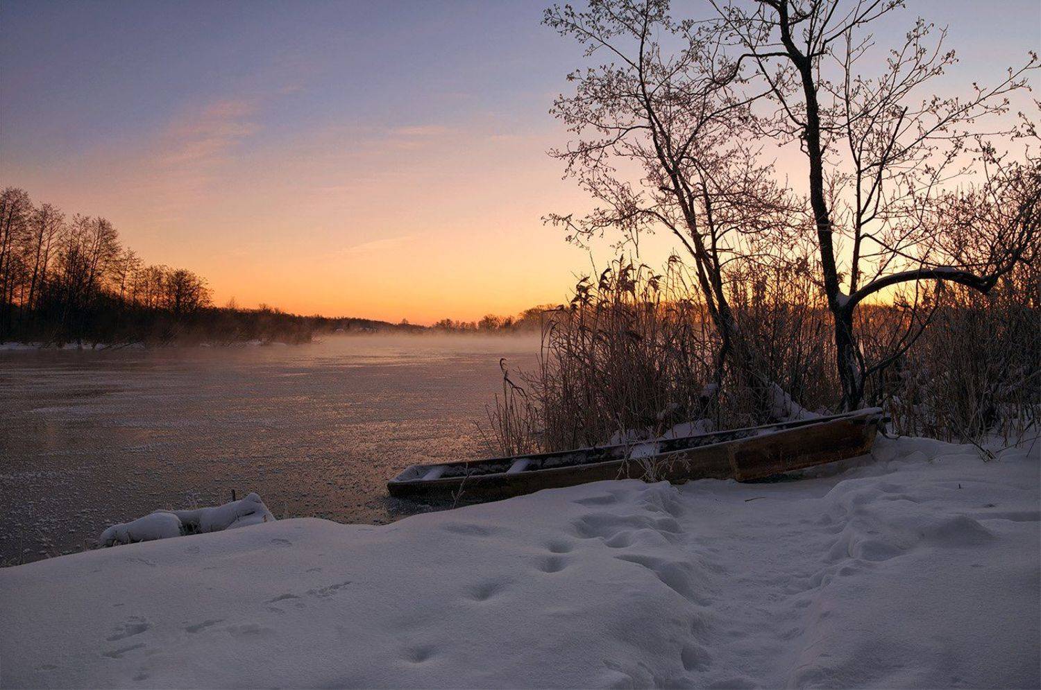 , Анатолий Зверев