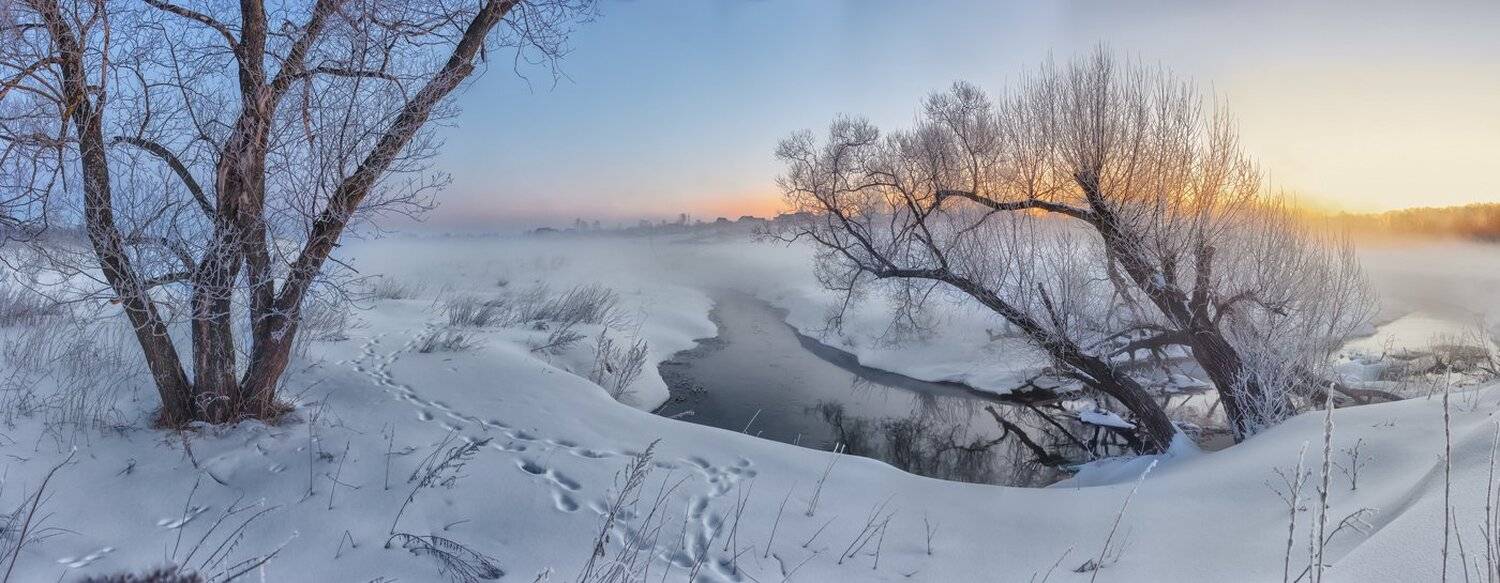 , Николай Андреев