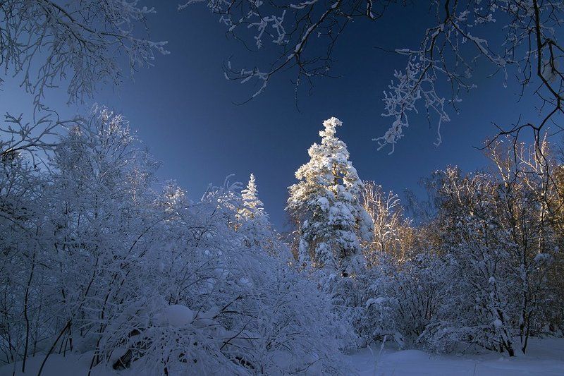 Цепляясь за солнце фото превью