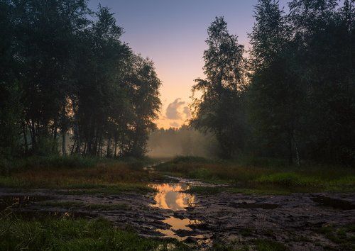 Летняя в небе восходит заря