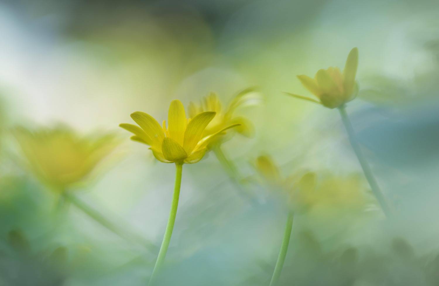 , Андрей Степанов