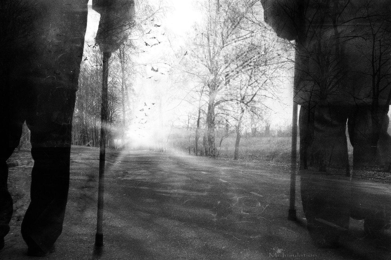 , Владислав Холодков