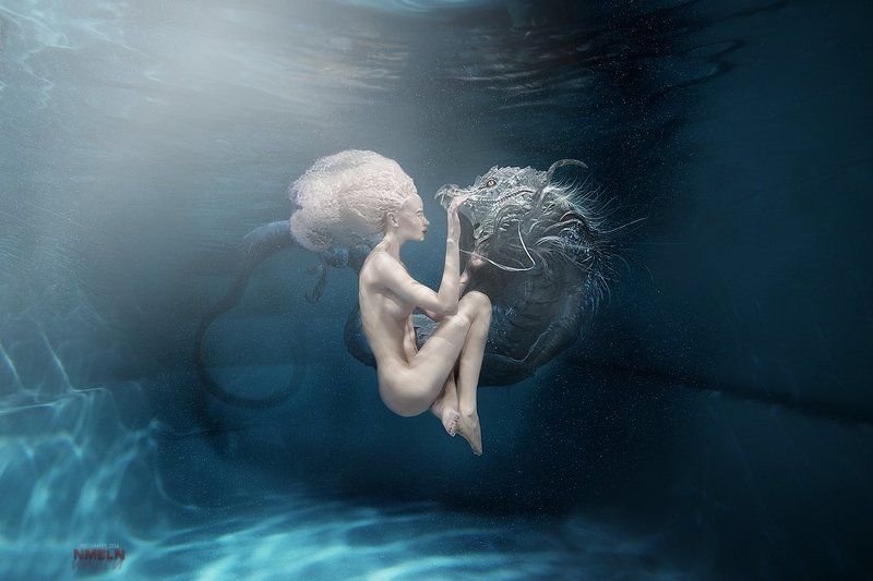 dance with the dragon фото превью