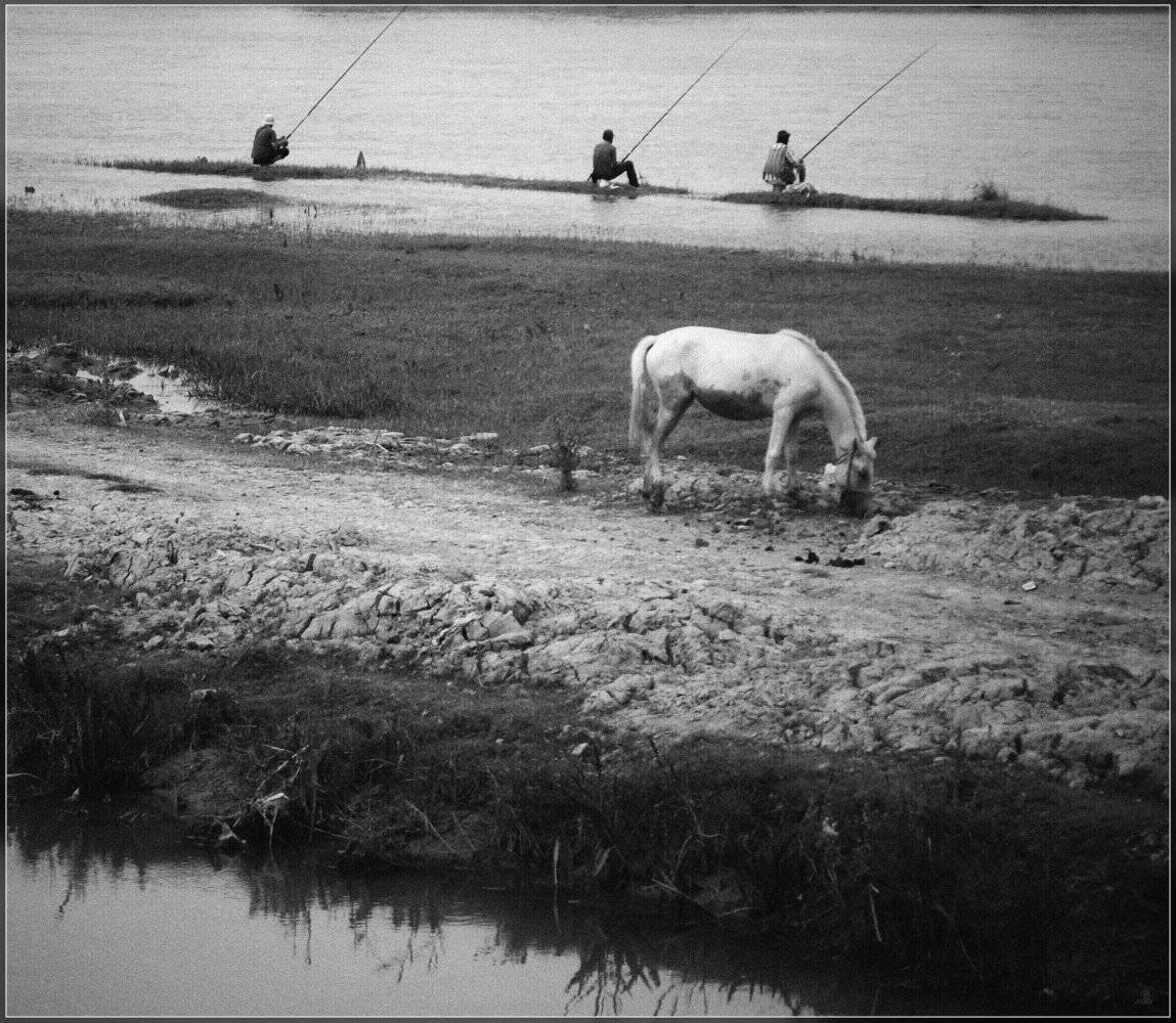 , Ильдар Садыков