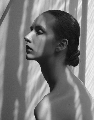 Без названия