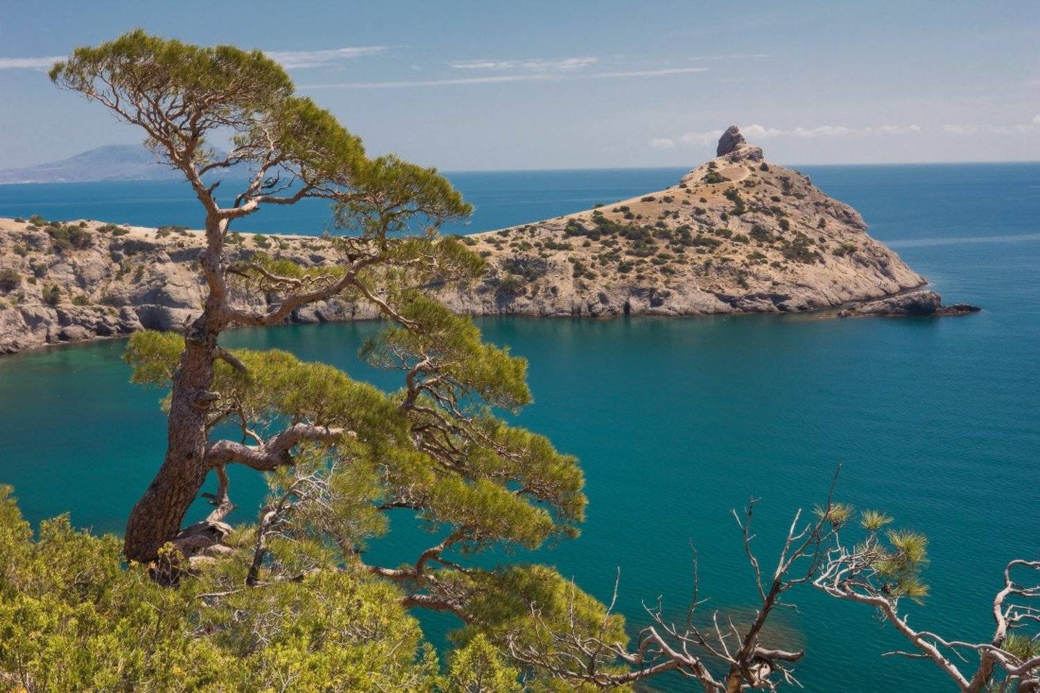 крым,новый свет, Андрей Дитковский