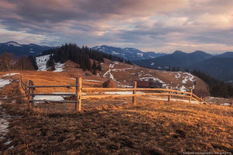 карпаты, украина, зима, пейзаж, снег, карпатский, гора, красивый, небо, природа, дерево, холод, мороз, путешествия, белый, сезон, ель, лес, фон, снежный, горы, зимний, утро, отдых, солнце, лед, изморозь, иней, сцена, синий, свет, замороженный Карпаты. Дземброня. Зимний вечер у полонины Степанский фото превью