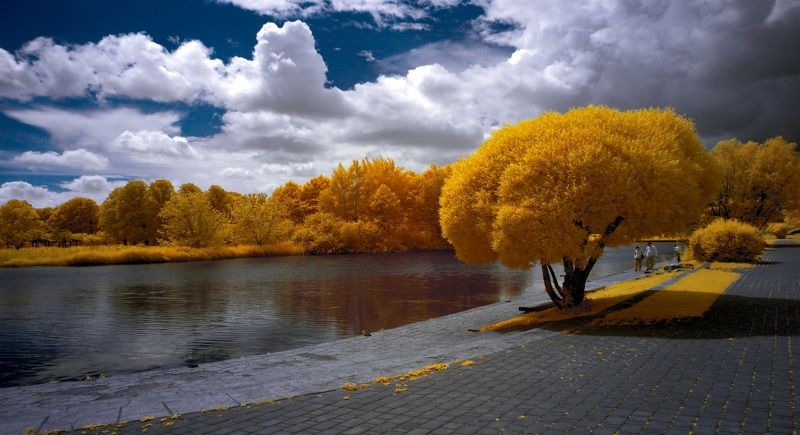 Прогулки сонного разума. Инфракрасная фотография. фото превью