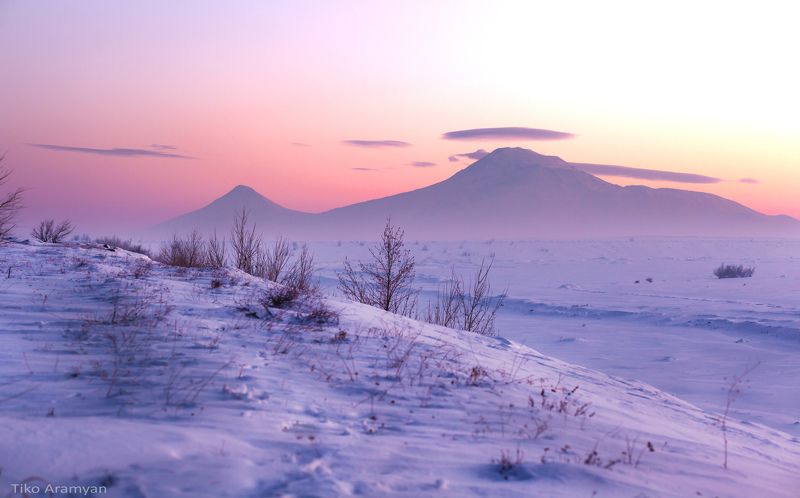 Ararat фото превью