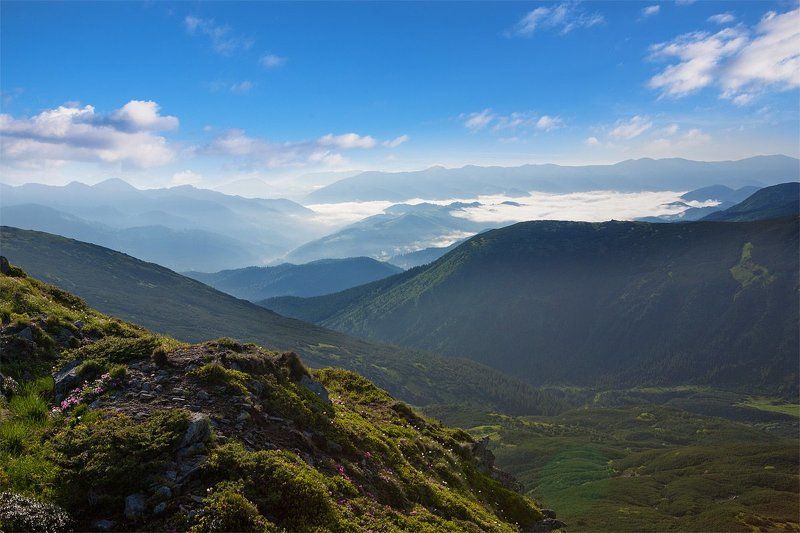 Сині далі фото превью