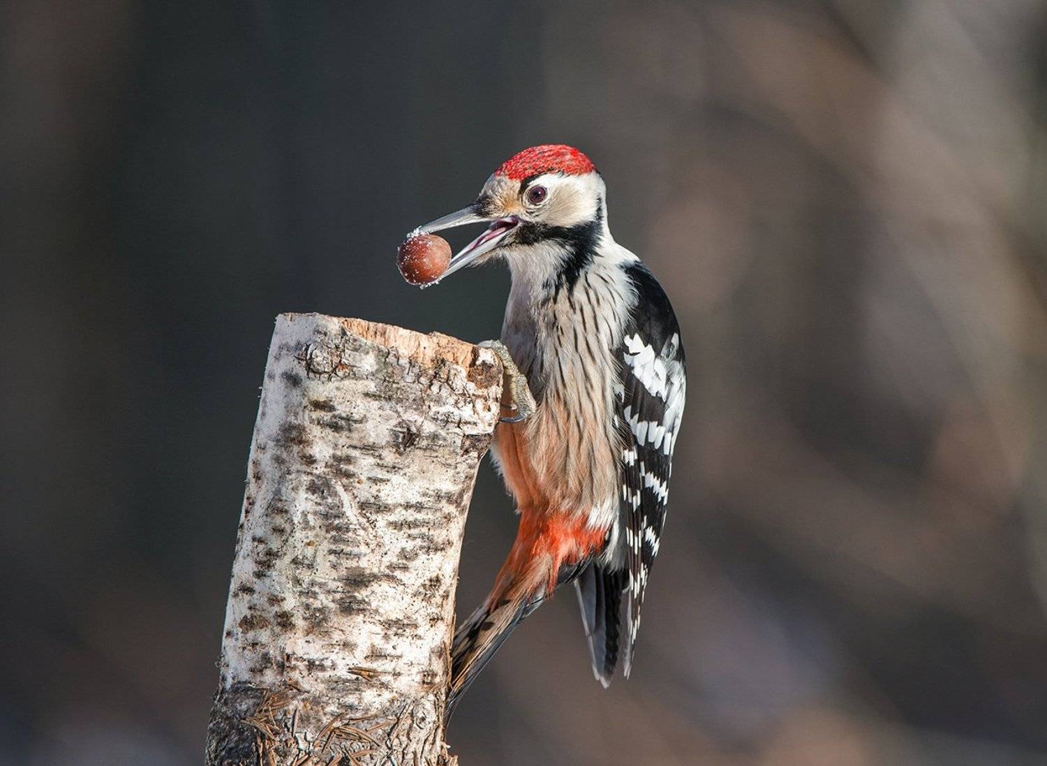 , Сумников Алексей