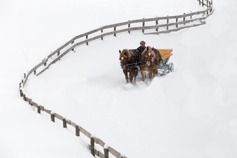 winter,snow,fence,horse,white, Long way to home фото превью