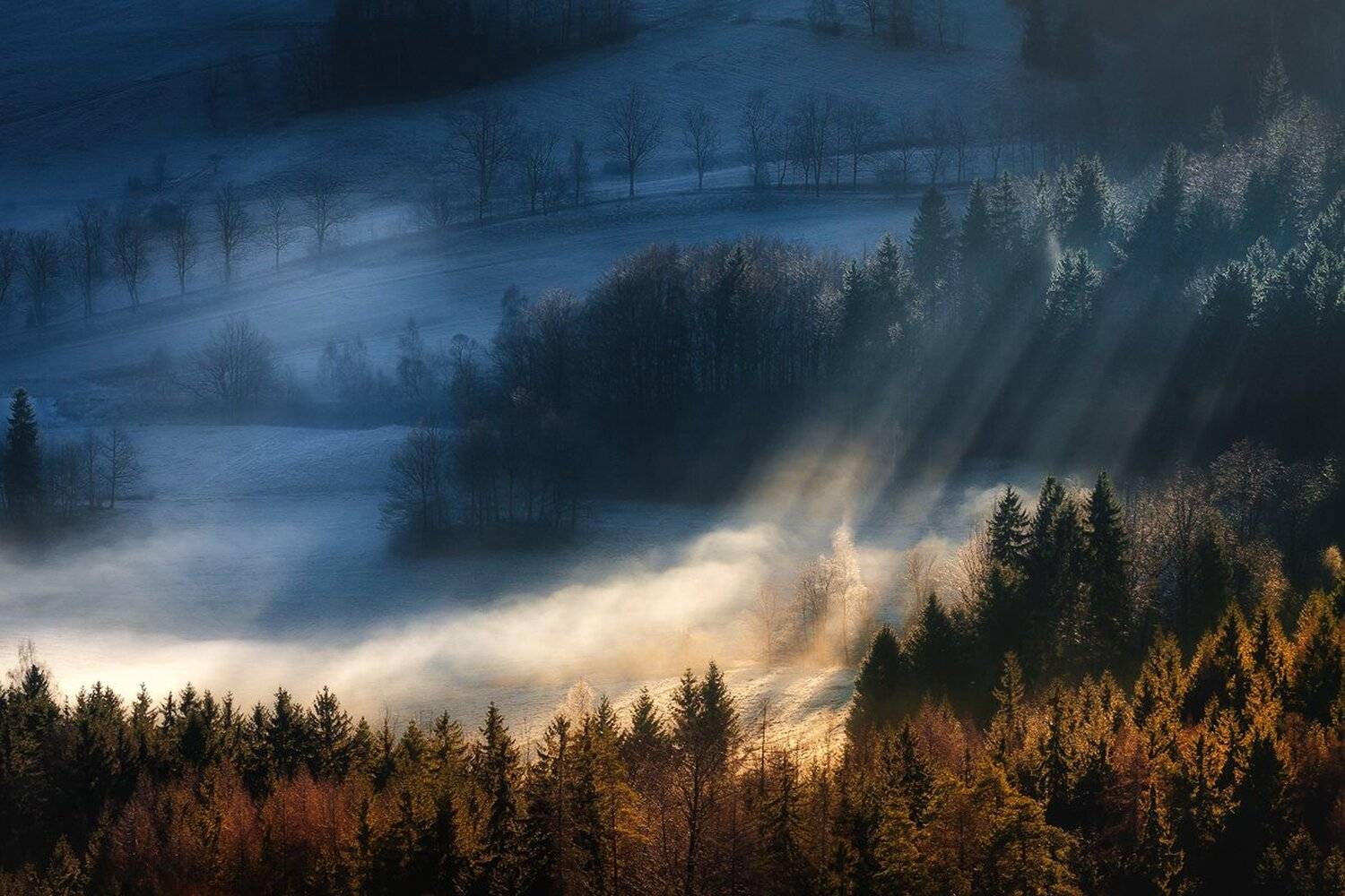 landscape,canon,mist,light,autumn, Iza,Darek